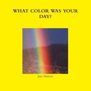 Book What Color Was Your Day? Jane Mattern