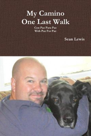Kniha My Camino One Last Walk Sean Lewis