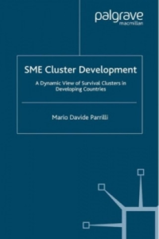 Kniha SME Cluster Development Mario Davide Parrilli