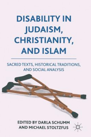Kniha Disability in Judaism, Christianity, and Islam Darla Schumm