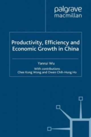 Könyv Productivity, Efficiency and Economic Growth in China Y. Wu