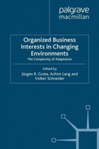 Könyv Organized Business Interests in Changing Environments J. Grote