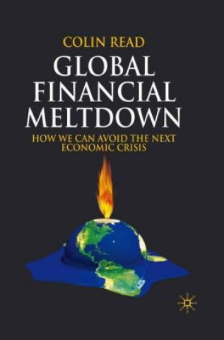 Knjiga Global Financial Meltdown C. Read