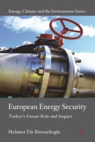 Buch European Energy Security Mehmet Efe Biresselioglu