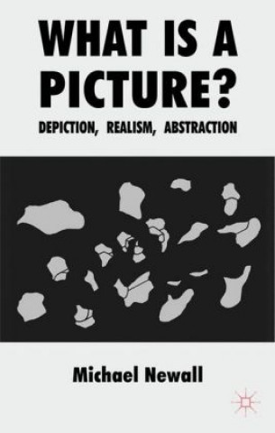 Book What is a Picture? Michael Newall