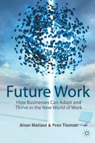 Book Future Work A. Maitland