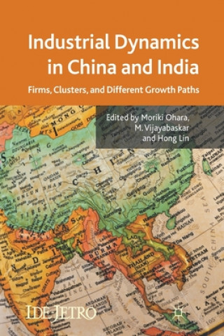 Könyv Industrial Dynamics in China and India M. Ohara
