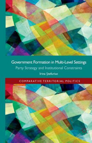 Könyv Government formation in Multi-Level Settings Irina Stefuriuc