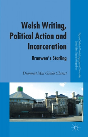 Könyv Welsh Writing, Political Action and Incarceration Diarmait Mac Giolla Chriost