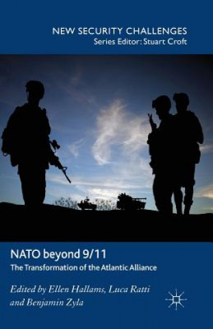 Книга NATO Beyond 9/11 E. Hallams