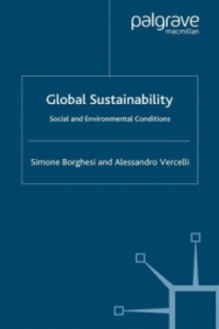Buch Global Sustainability Simone Borghesi