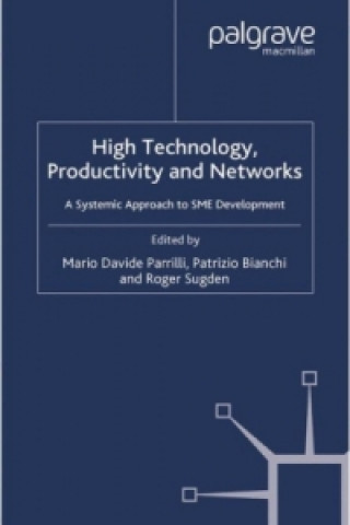 Carte High Technology, Productivity and Networks Mario Davide Parrilli