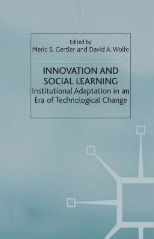 Libro Innovation and Social Learning M. Gertler