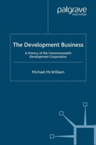 Kniha Development Business Michael McWilliam