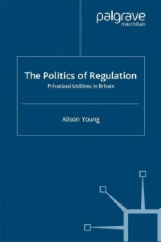 Buch Politics of Regulation Alison Young