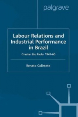 Könyv Labour Relations and Industrial Performance in Brazil Renato Colistete