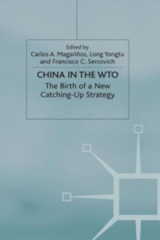 Könyv China in the WTO United Nations Industrial Development Organization