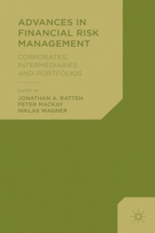Kniha Advances in Financial Risk Management Jonathan A. Batten