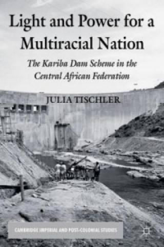 Kniha Light and Power for a Multiracial Nation Julia Tischler