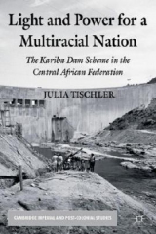 Книга Light and Power for a Multiracial Nation Julia Tischler