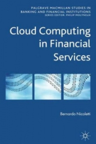 Buch Cloud Computing in Financial Services Bernardo Nicoletti