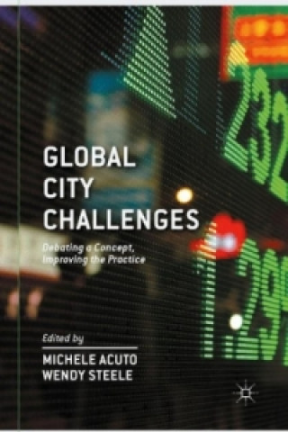 Kniha Global City Challenges W. Steele