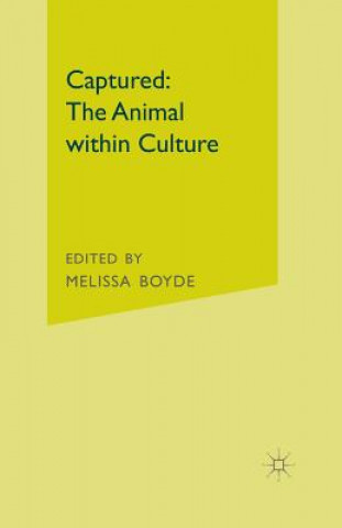 Książka Captured: The Animal within Culture M. Boyde