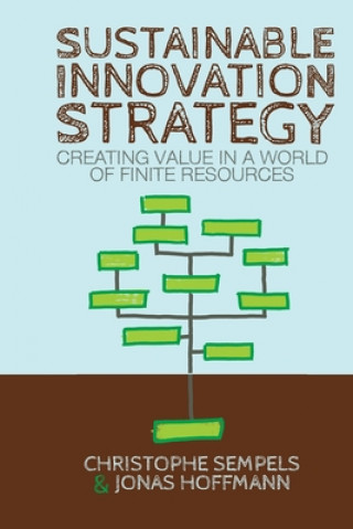 Kniha Sustainable Innovation Strategy J. Hoffmann