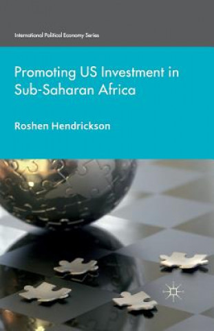 Kniha Promoting U.S. Investment in Sub-Saharan Africa R. Hendrickson