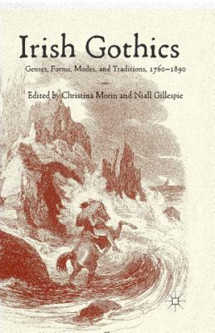 Buch Irish Gothics Christina Morin