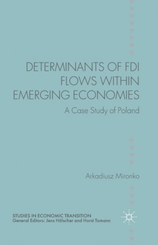 Könyv Determinants of FDI Flows within Emerging Economies Arkadiusz Mironko