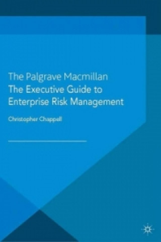 Knjiga Executive Guide to Enterprise Risk Management Christopher Chappell