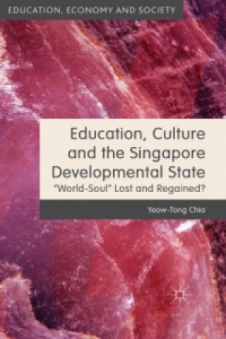 Kniha Education, Culture and the Singapore Developmental State Yeow-Tong Chia