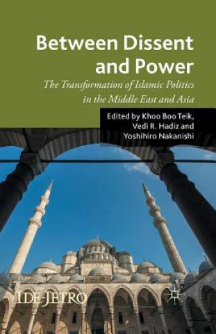 Könyv Between Dissent and Power V. Hadiz