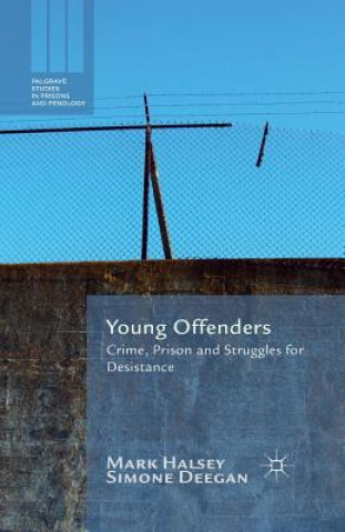 Książka Young Offenders Mark Halsey