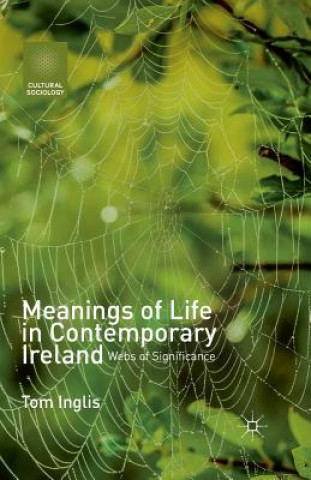 Könyv Meanings of Life in Contemporary Ireland Tom Inglis