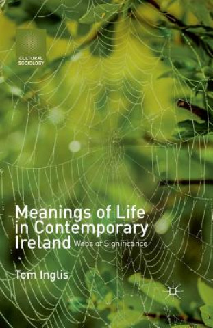 Книга Meanings of Life in Contemporary Ireland Tom Inglis