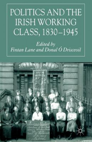 Kniha Politics and the Irish Working Class, 1830-1945 F. Lane