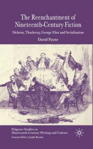 Kniha Reenchantment of Nineteenth-Century Fiction D. Payne
