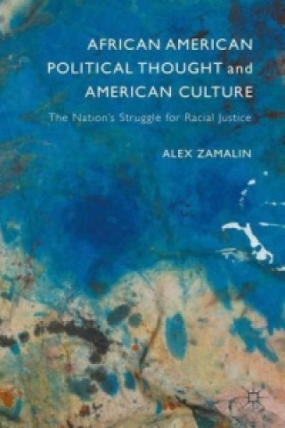 Knjiga African American Political Thought and American Culture Alex Zamalin