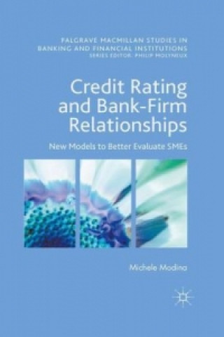 Kniha Credit Rating and Bank-Firm Relationships Michele Modina