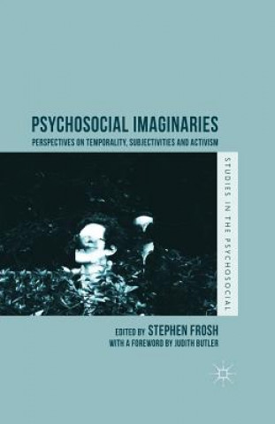 Könyv Psychosocial Imaginaries Stephen Frosh