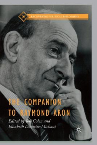 Kniha Companion to Raymond Aron José Colen