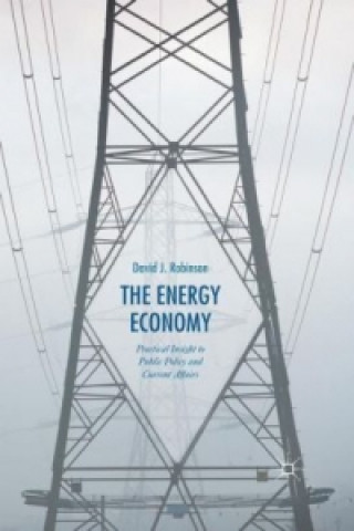 Kniha The Energy Economy David J. Robinson