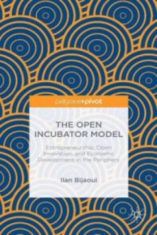 Könyv The Open Incubator Model Ilan Bijaoui