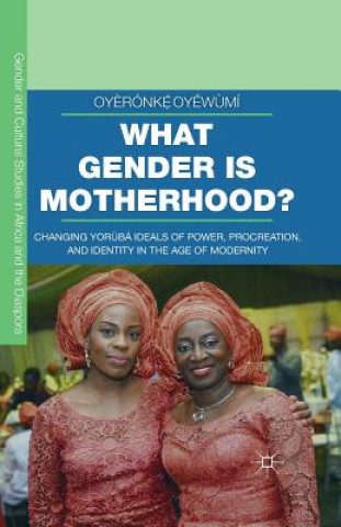 Carte What Gender is Motherhood? Oyeronke Oyewumi