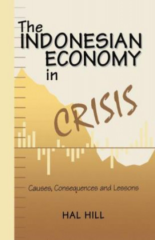 Kniha Indonesian Economy in Crisis Na Na