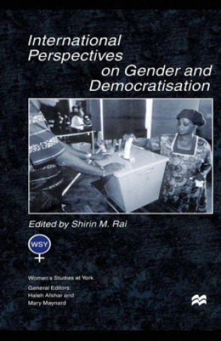 Kniha International Perspectives On Gender and Democratisation 