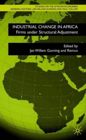 Kniha Industrial Change in Africa J. Gunning