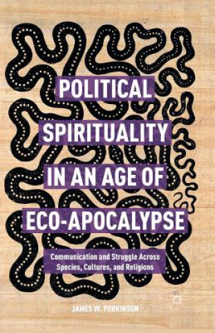 Książka Political Spirituality in an Age of Eco-Apocalypse James W. Perkinson